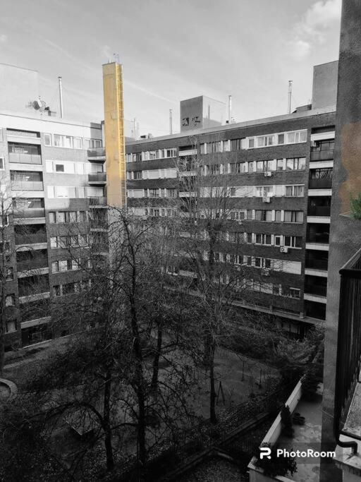 Danube Dwelling Asboth 19-2 Appartamento *